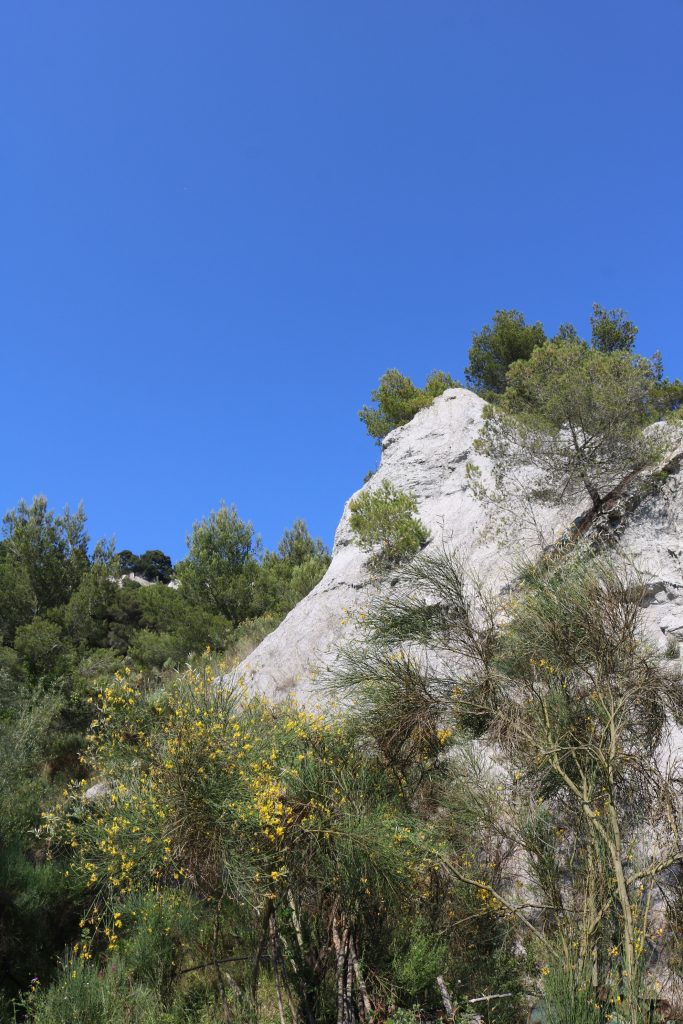 Ventimiglia Im Località Ville Calanchi Di Castel Dappio