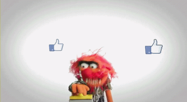 fb-animal-gif