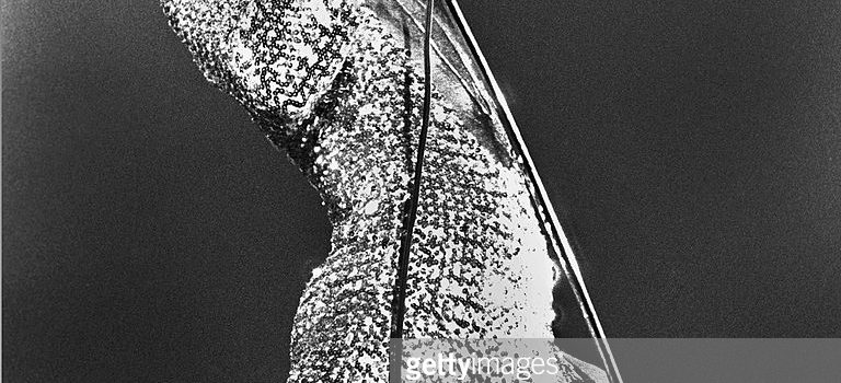 Singer Freddie Mercury (1946 - 1991) performing with British rock group Queen at Earls Court, London, 1977. (Photo by Denis O'Regan/Getty Images)