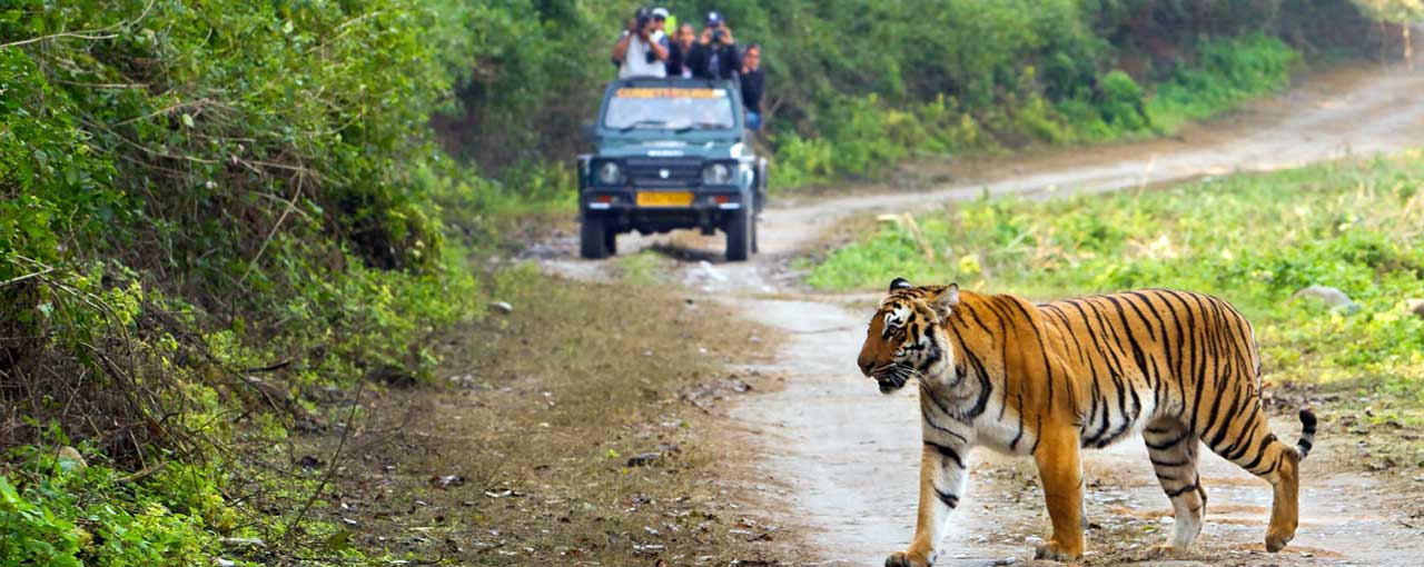 jeep-safari-1