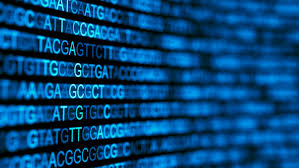 Bioinformatics Market Global Industry Analysis, Size, Share, Growth, Trends and Forecast, 2018 – 2025