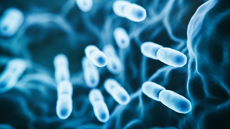 Global Probiotic Ingredients Market By Ingredients: Lactobacilli, Bifidobacterium, Streptococcus By Form- Liquid and Dry. By Application- Food & Beverages