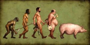 evoluzione-umana-maiale