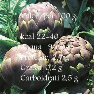 carciofi