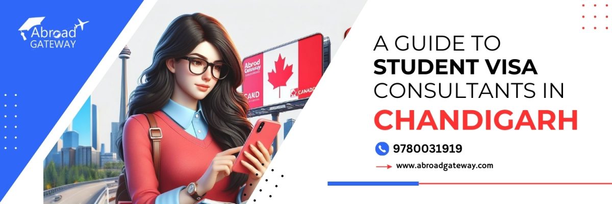 The Need for a Study Visa Consultant for Canada