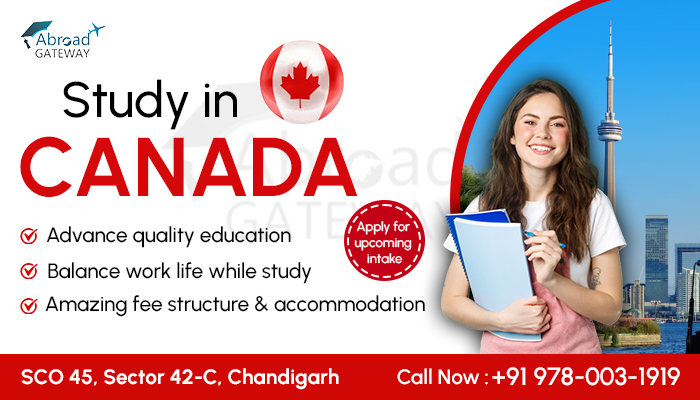 best Canada PR visa consultants in Chandigarh