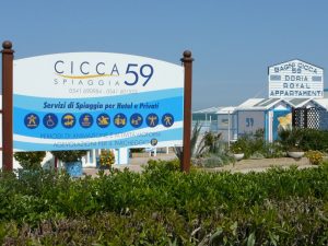 cicca-59