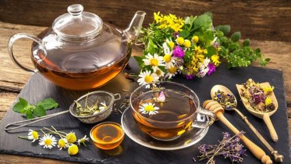 Ricette di tisane per il relax, preparazione di video, come preparare il tè in modo che sia sano e gustoso.