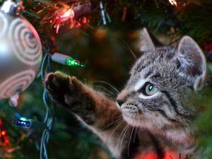 pet-proof-your-christmas-tree
