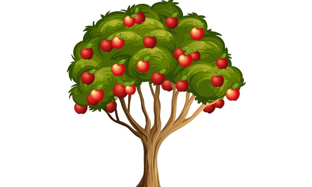 red apple tree