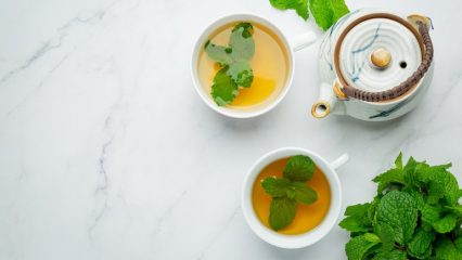 Tè verde e perdita di peso, i benefici del tè verde, chi non dovrebbe bere il tè verde, controindicazioni, il parere di un nutrizionista.