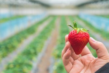 Come si manifestano le allergie alimentari, sintomi e allergeni tipici