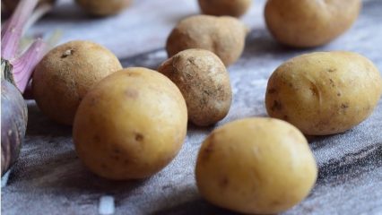 Patate, benefici e danni al corpo umano.