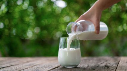 Latte, danni e benefici, cosa succederà se bevi latte ogni giorno.