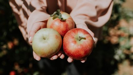 Mela, benefici e danni all'organismo, vitamine e proprietà benefiche