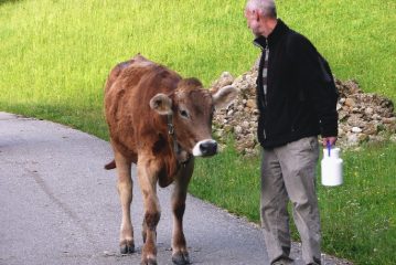 Il coronavirus si trasmette dagli animali all'uomo