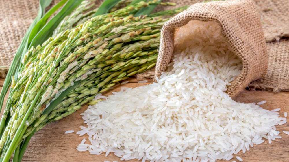 India Packaged Rice Market Growth Report, Industry Trends and Forecast 2022-2027