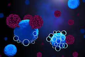 Cancer Immunotherapy Market Size, Share, Forecast Report, 2024-2032