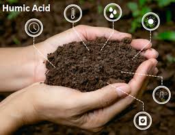 Humic Acid Market-link