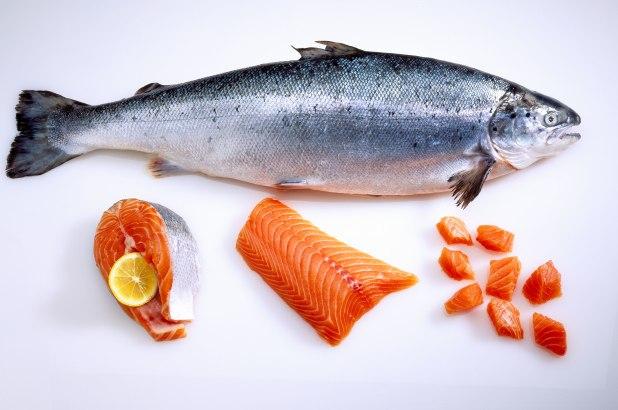 Salmon Market-