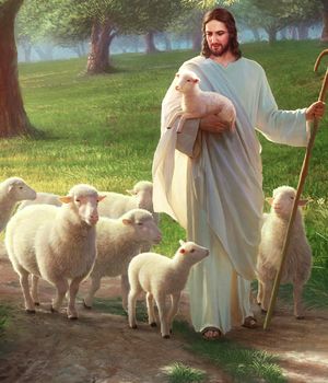 il Signore Gesù con le pecore