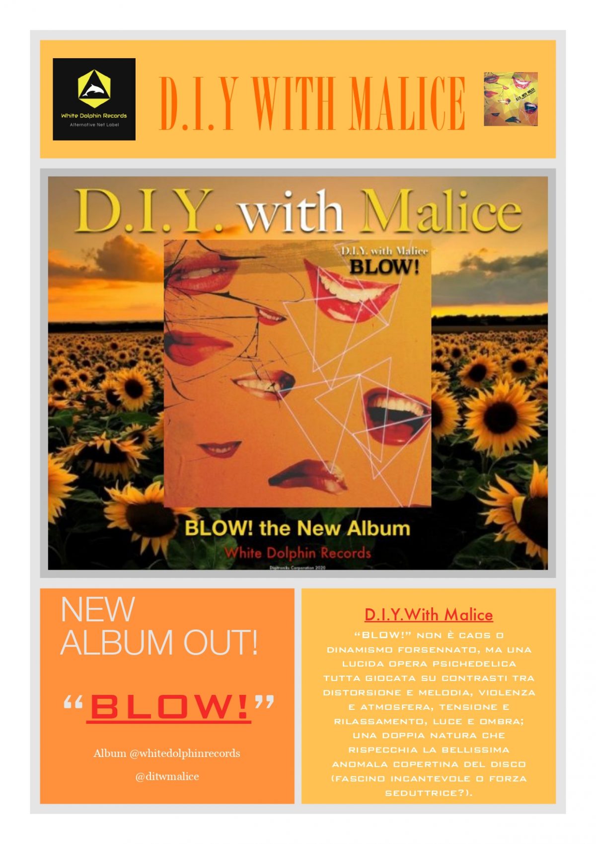 Pubblicato dall’etichetta alternativa White Dolphin Records ,”BLOW!” è l’album d’esordio dei D.I.Y. with Malice.