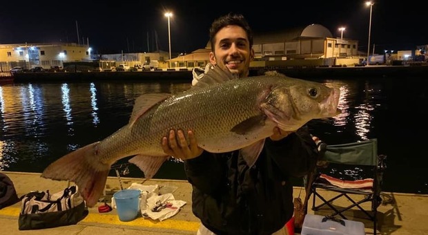 Spigola di 8,4 kg pescata a Fiumicino: su Facebook la commovente dedica di Frankie Baroni al papà scomparso