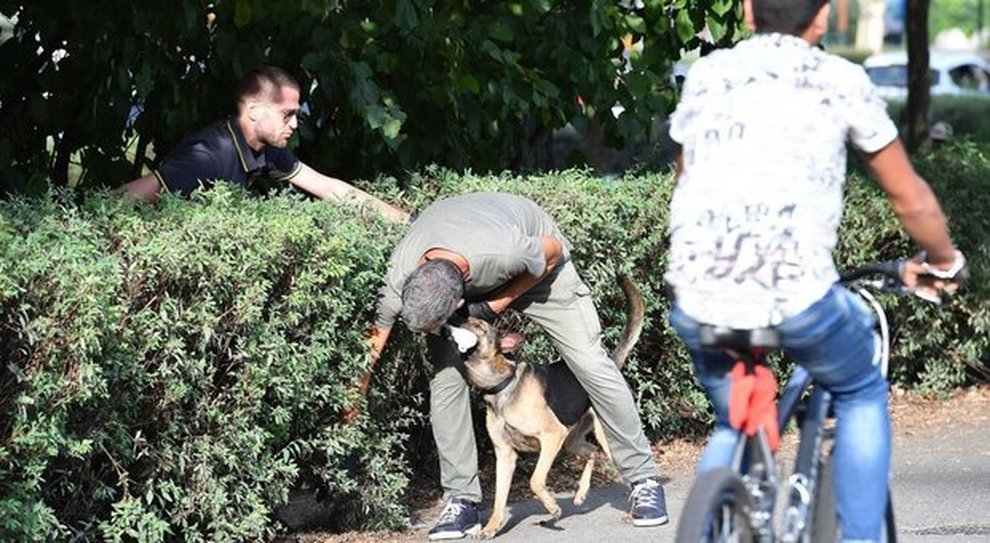 Torino, ragazza violentata da un migrante fuori dalla discoteca nel parco del Valentino