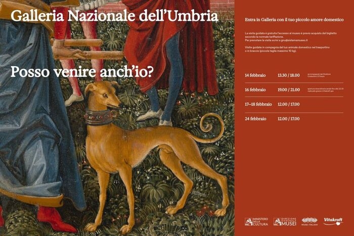 Al museo con il cane alla Galleria Nazionale dell'Umbria