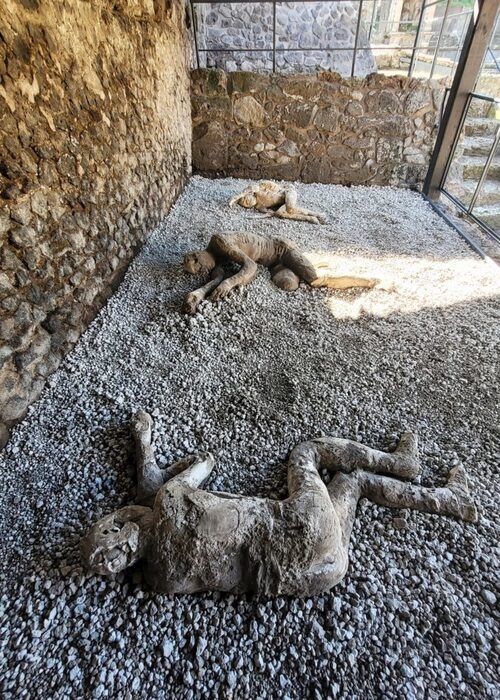 A Pompei nuova tappa con i calchi delle vittime dell'eruzione