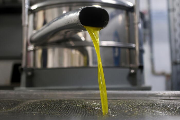 Stop ai rincari dell'olio di oliva, -1% dopo 2 anni di record