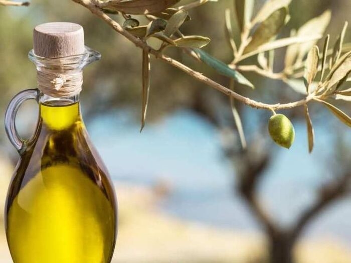 Slow Food, costi e clima incidono su olivicoltura 