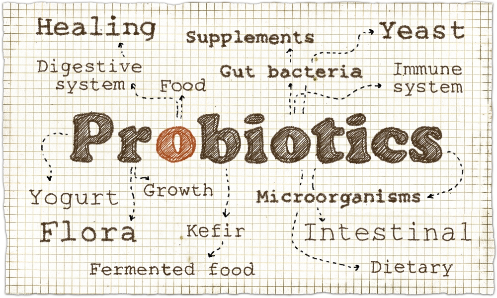 Le donne hanno bisogno di probiotici più degli uomini