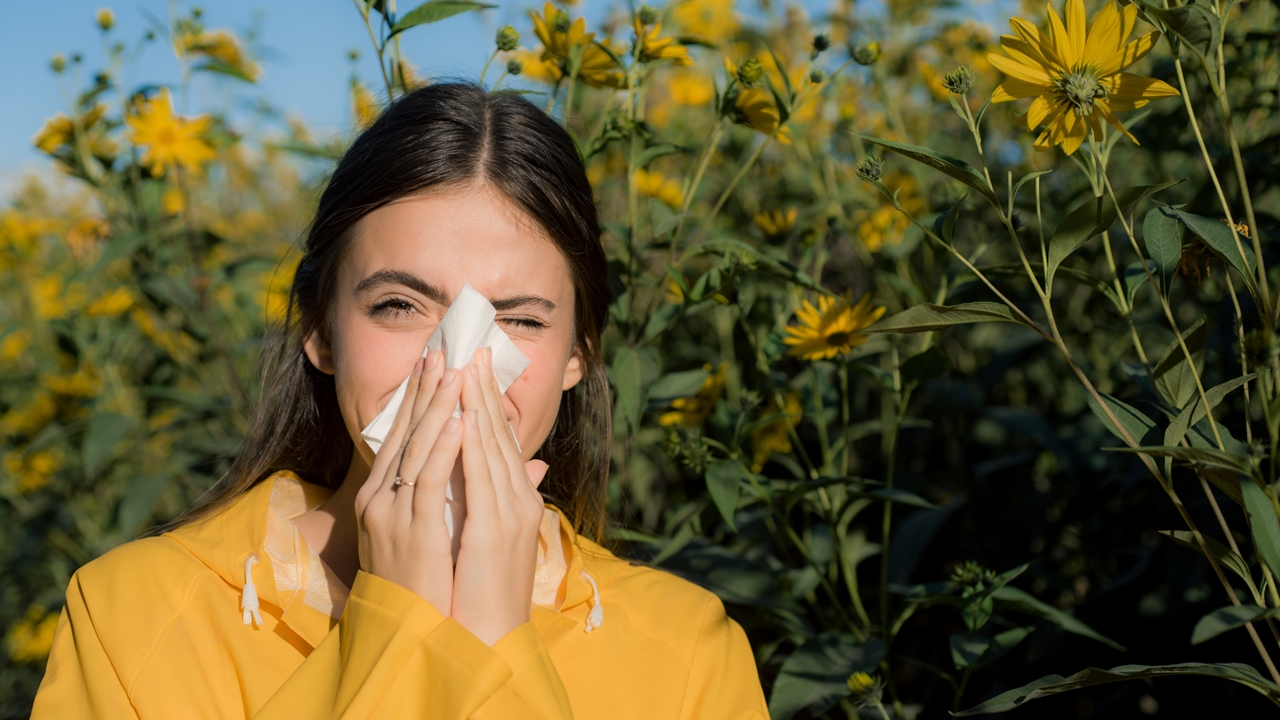 È stata scoperta una nuova proteina, la neuritina. In che modo questo influenzerà il trattamento delle malattie autoimmuni