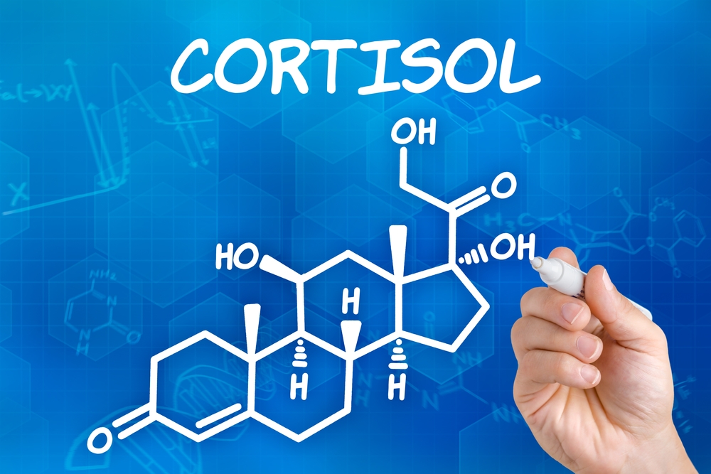 Curva della secrezione di cortisolo o tutto sull'ormone dello stress