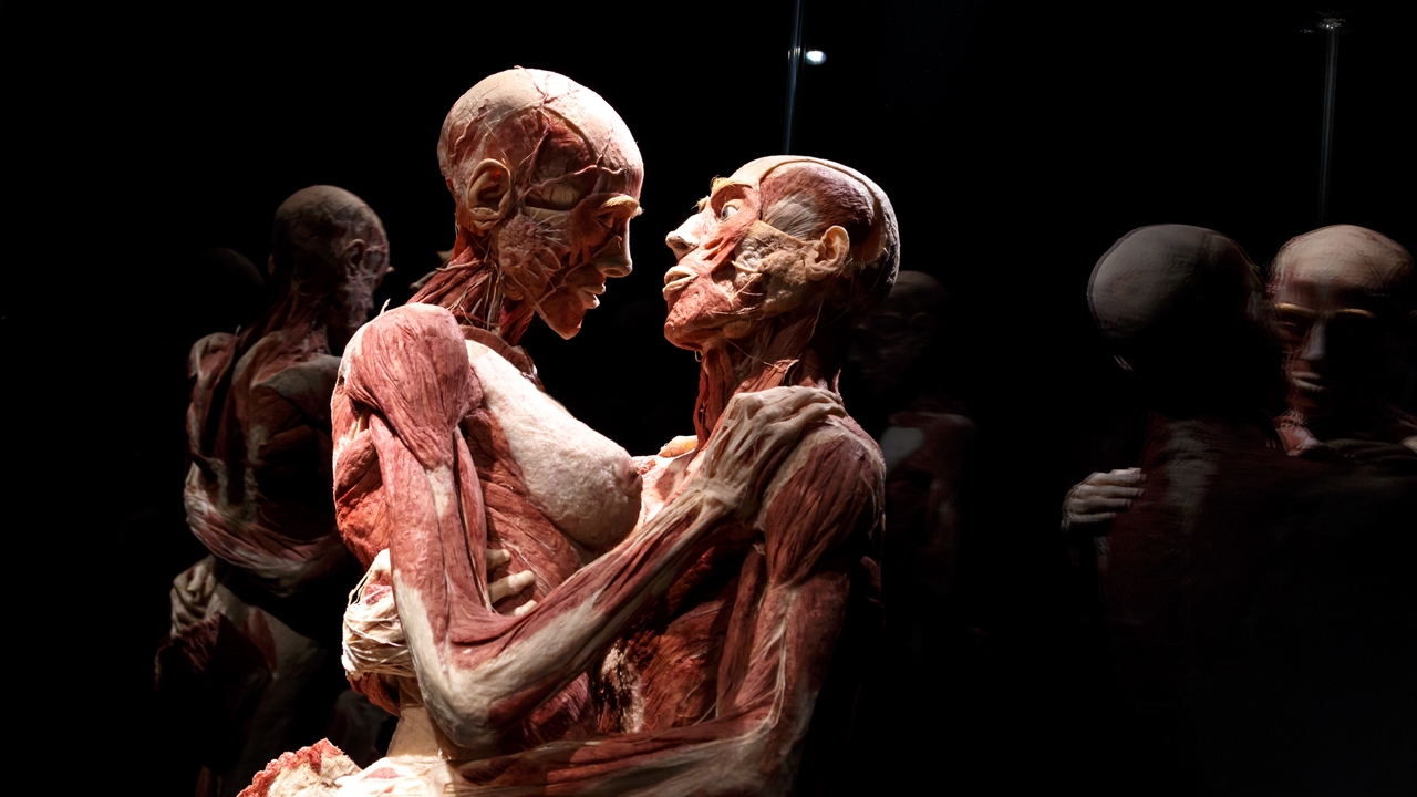 Cimitero dei cadaveri o teatro anatomico Opinioni sulla mostra Body Worlds