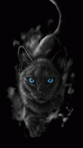 blackcat_2vahnxtv